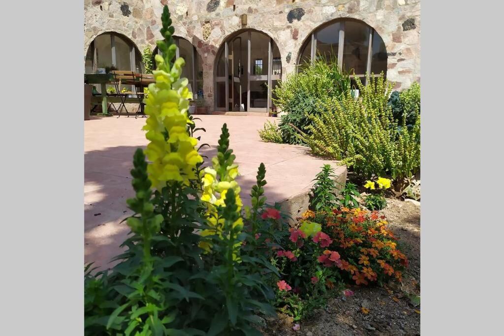 Апартаменты Eilat Stone - Patio אבן אילת - פטיו Экстерьер фото
