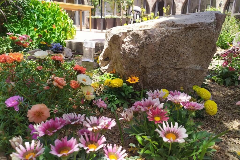 Апартаменты Eilat Stone - Patio אבן אילת - פטיו Экстерьер фото