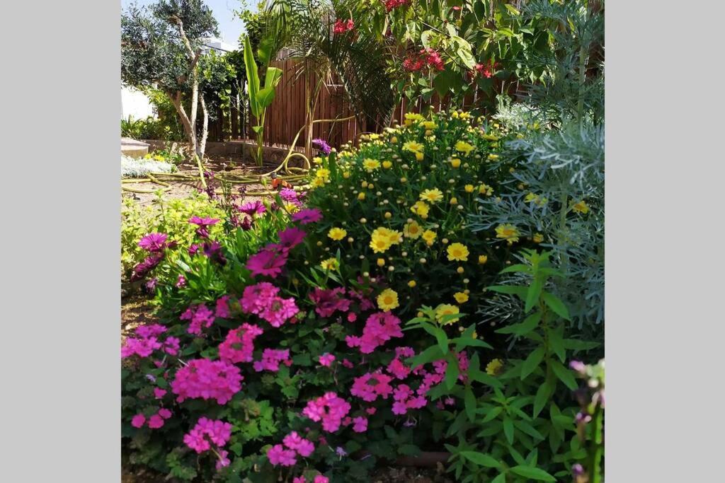 Апартаменты Eilat Stone - Patio אבן אילת - פטיו Экстерьер фото